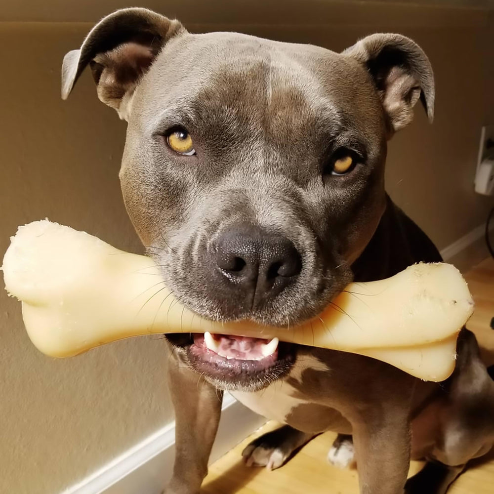Nylabone XX-large dogs version suitable for dogs over fifty pounds.