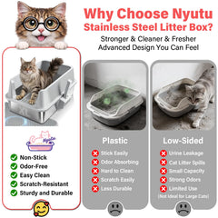 Nyutu open-top litter box for quick scooping and daily checks.