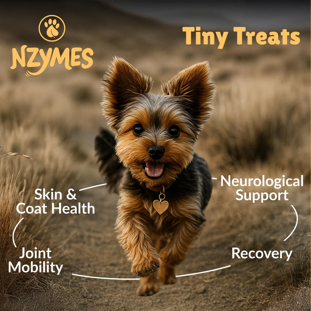 Nzymes Antioxidant Tiny Treats for dogs coat shine and healthier fur.