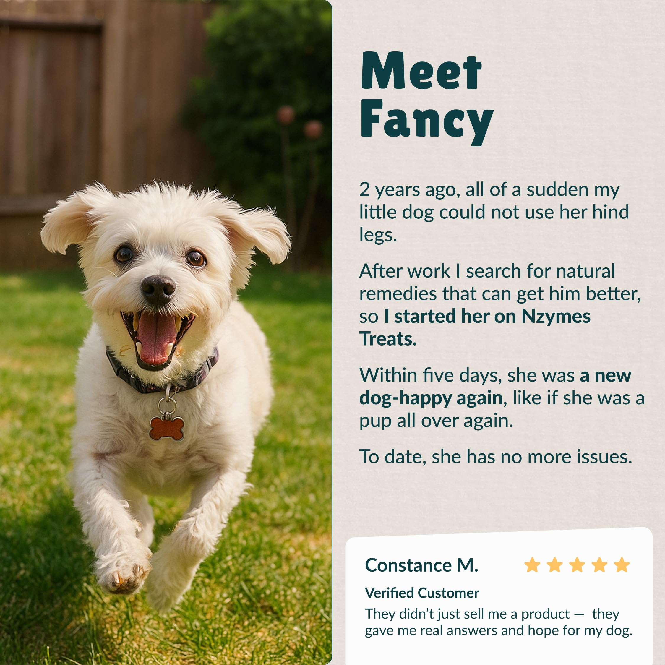 Nzymes Antioxidant Tiny Treats promote healthy skin and balanced coat.
