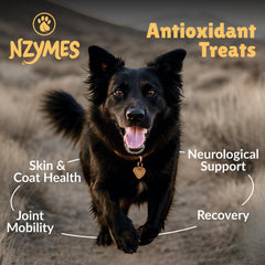 Close-up of Nzymes Antioxidant Treats highlighting coat health benefits.
