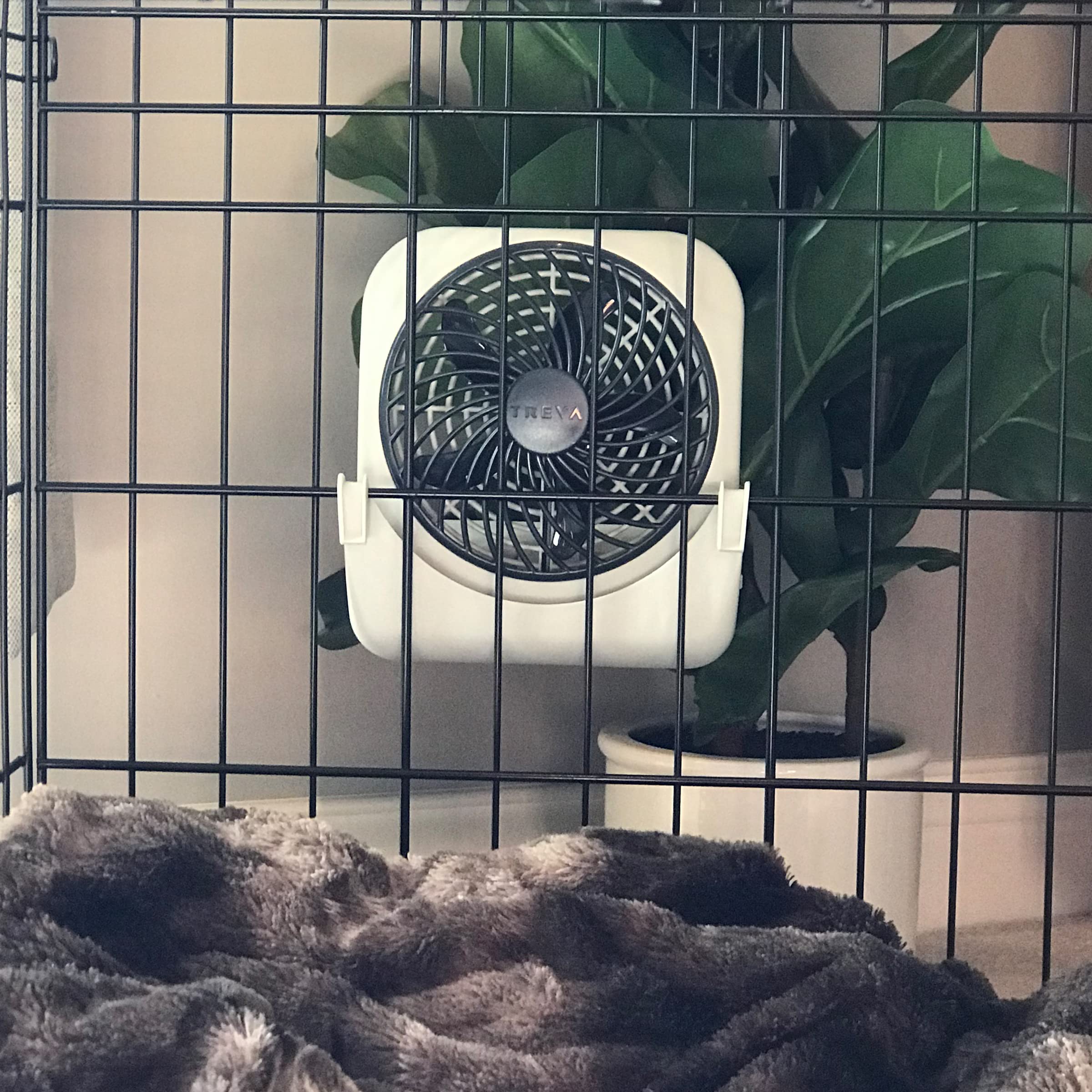 O2COOL Treva in-action cooling a dog during car travel.