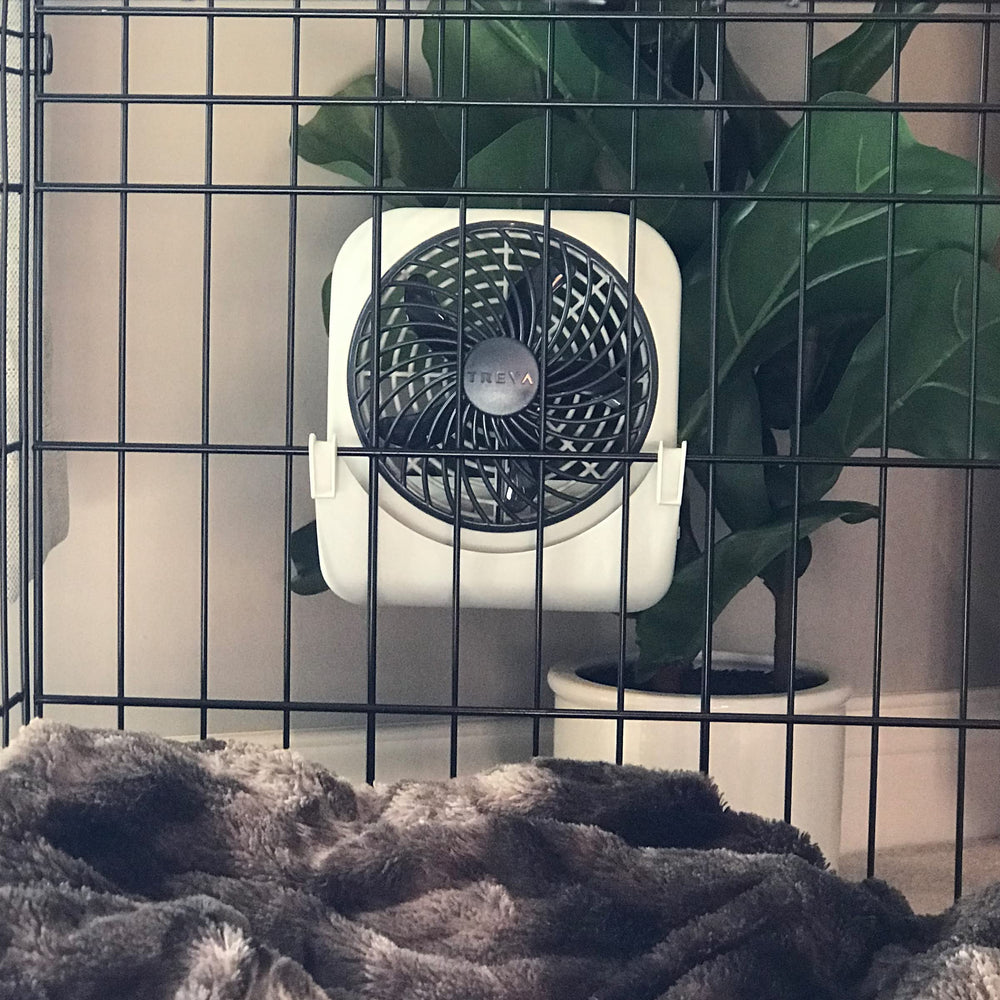 O2COOL Treva in-action cooling a dog during car travel.