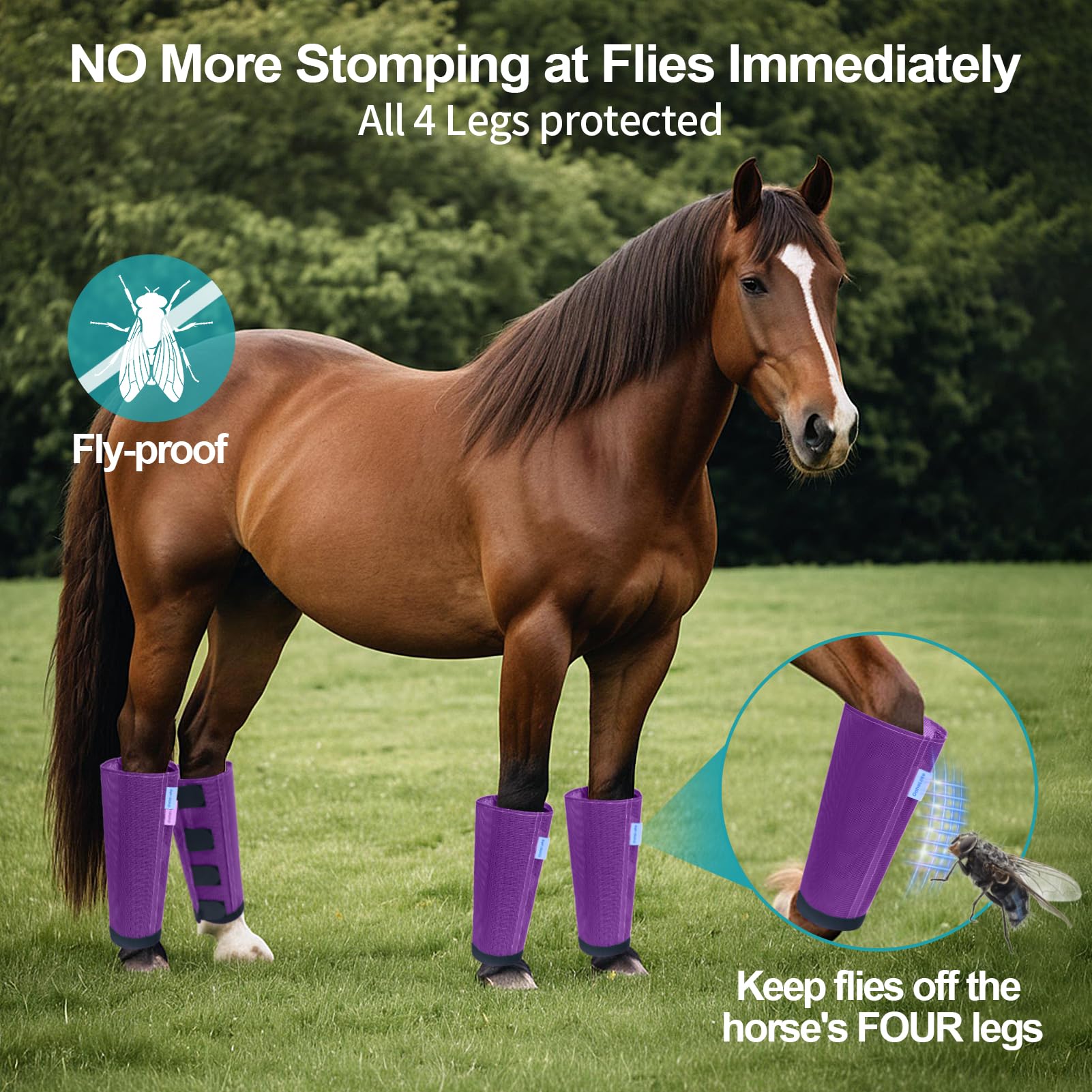 OAHELAKE breathable mesh horse leggings ensure airflow and comfort