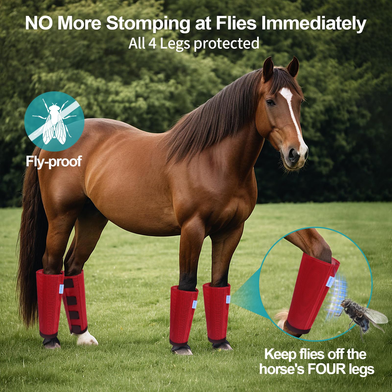 OAHELAKE boots feature secure stays and four Velcros for stable fit