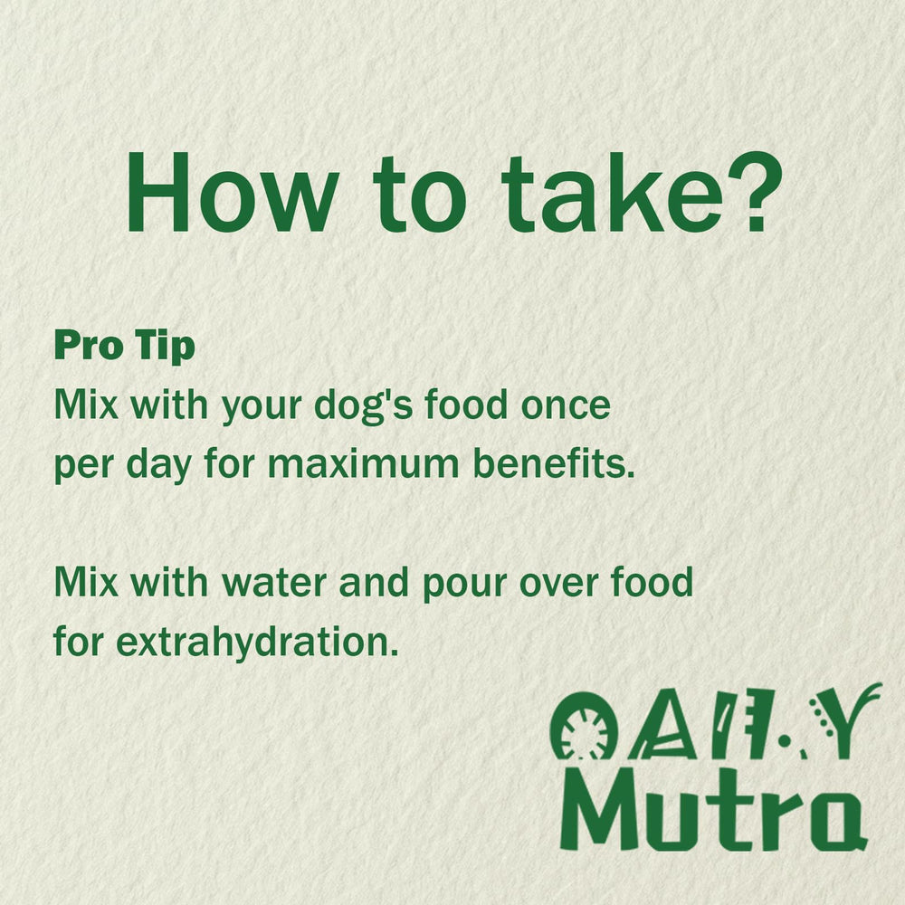 OailyMutra omega-3 fish oil infusion visual for skin and coat support.