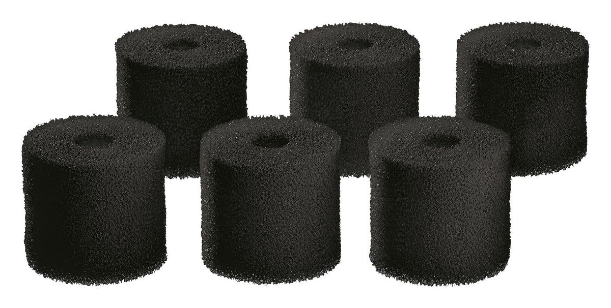 OASE Biomaster carbon pre-filter foam set with six replacements for clear aquarium water