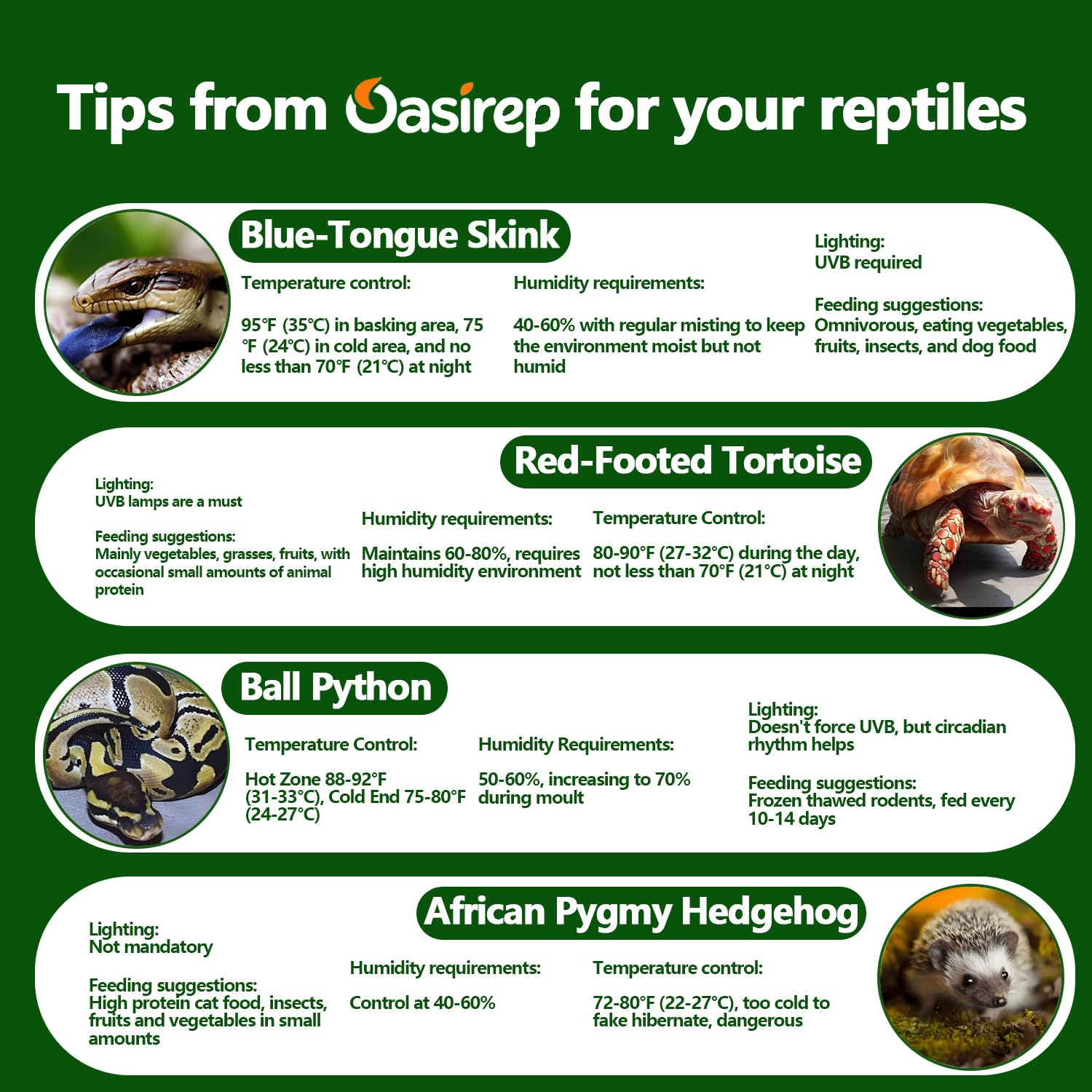 Oasirep durable ABS resin body stands up to daily reptile room use.