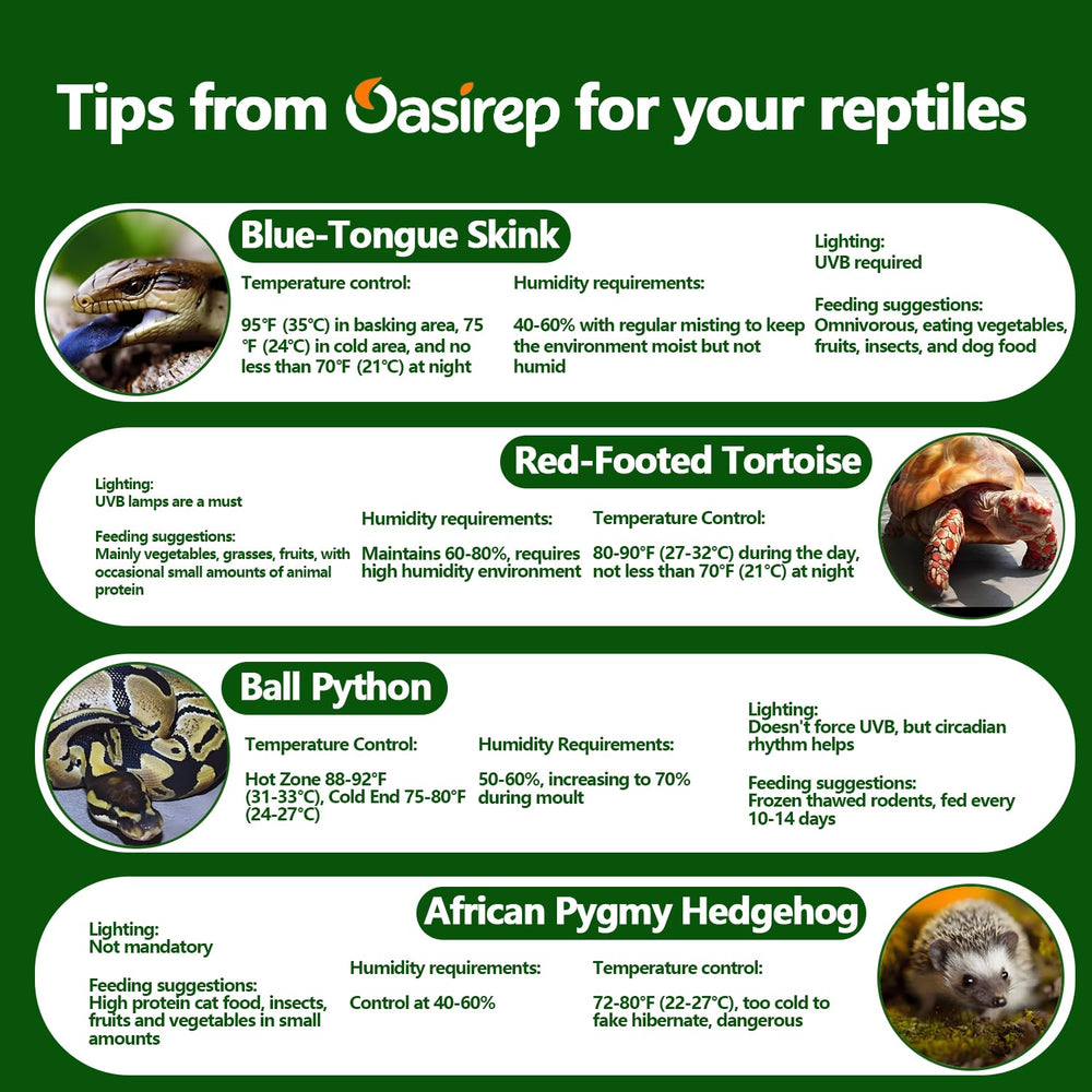 Oasirep durable ABS resin body stands up to daily reptile room use.