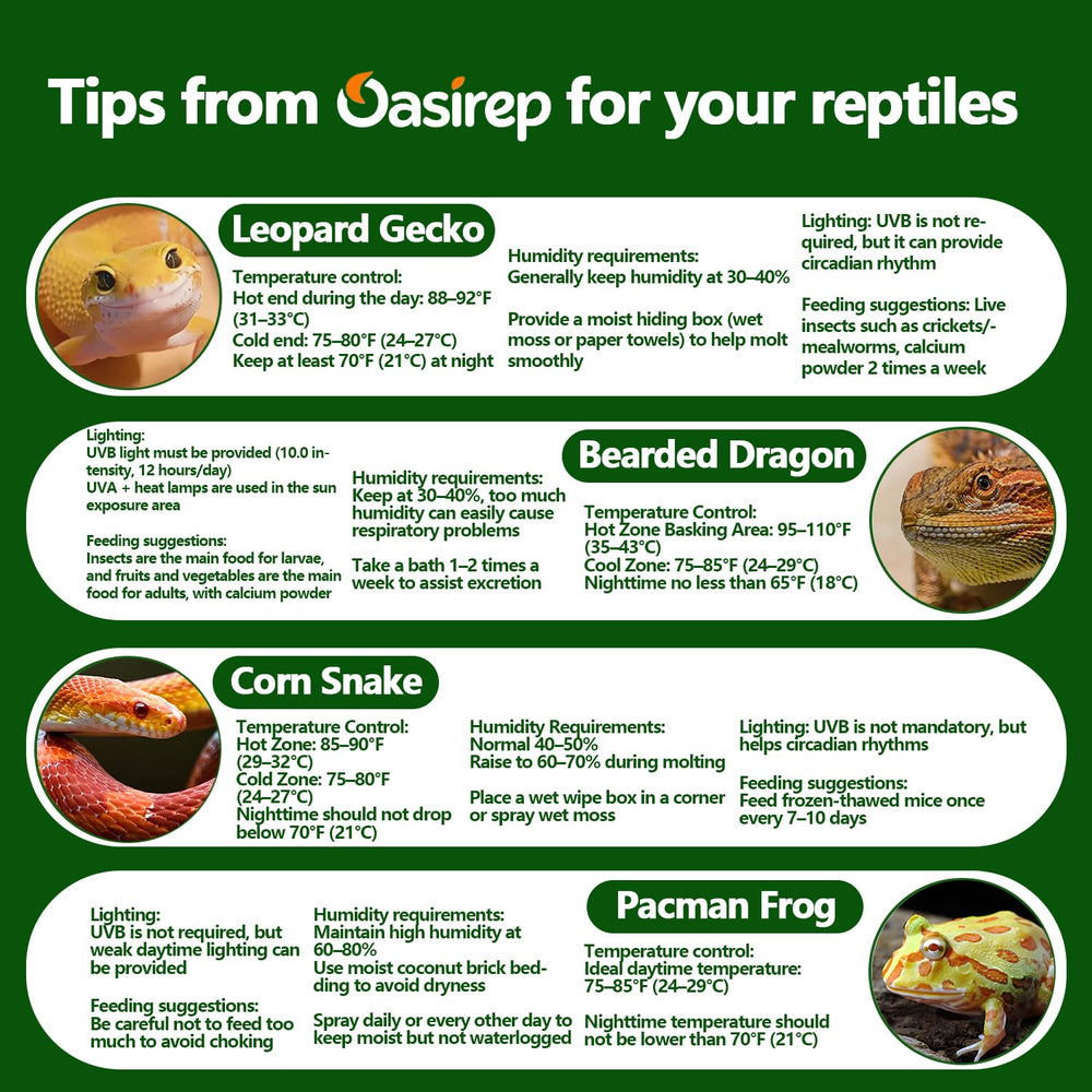 Oasirep CR2032 battery-powered unit offers nearly a year of monitoring.