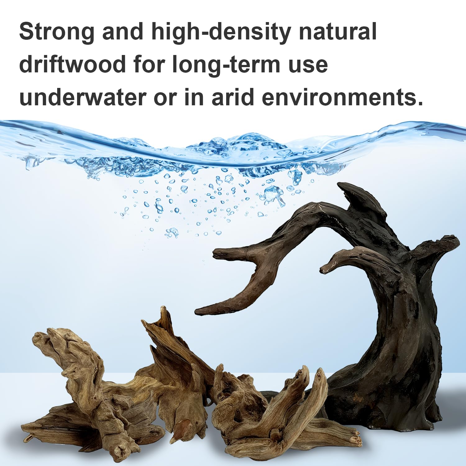 Obantrsz aquascape setup idea showcases complete decorating potential