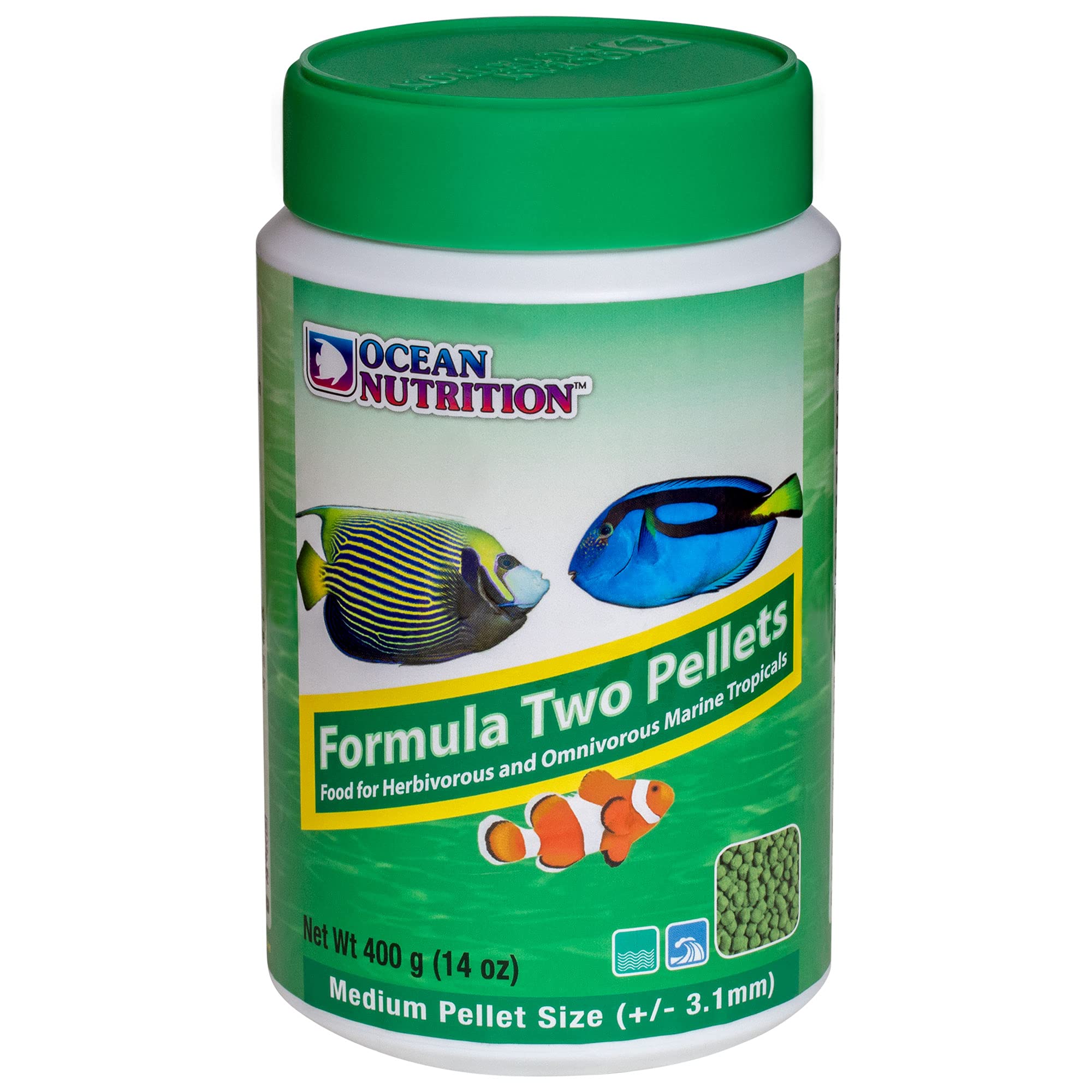 Bright colors promoted by Formula Two pellets in tropical fish tanks.
