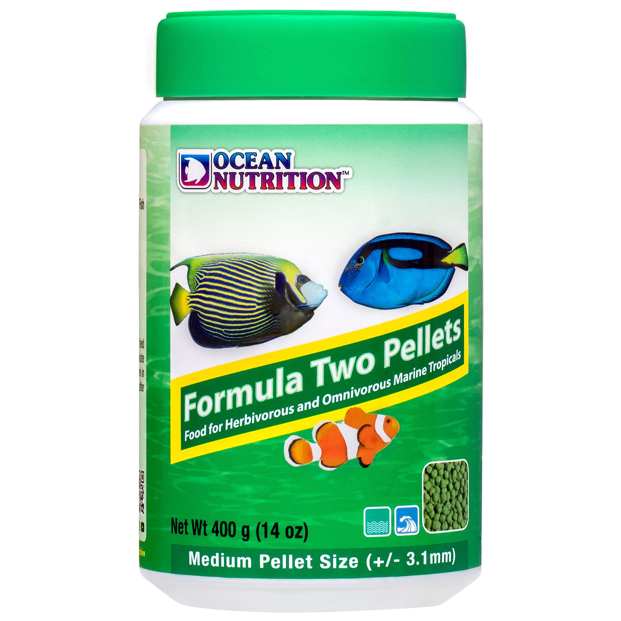 Close view of Formula Two pellets texture showing soft, moist consistency.