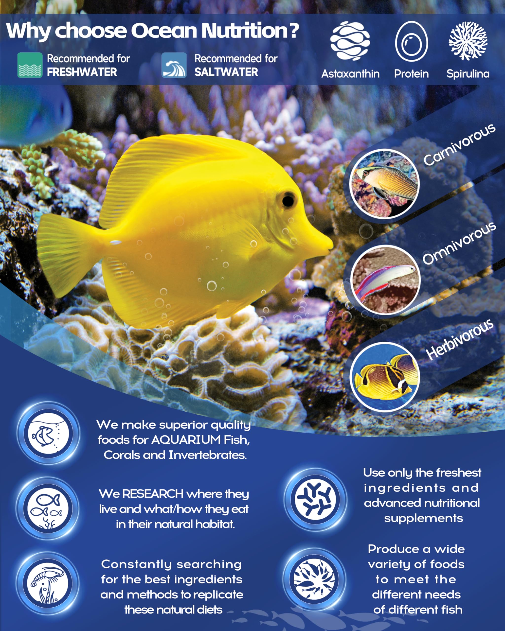 Ocean Nutrition Formula Two Pellets in bowl shows high-protein nutrition for herbivorous species.