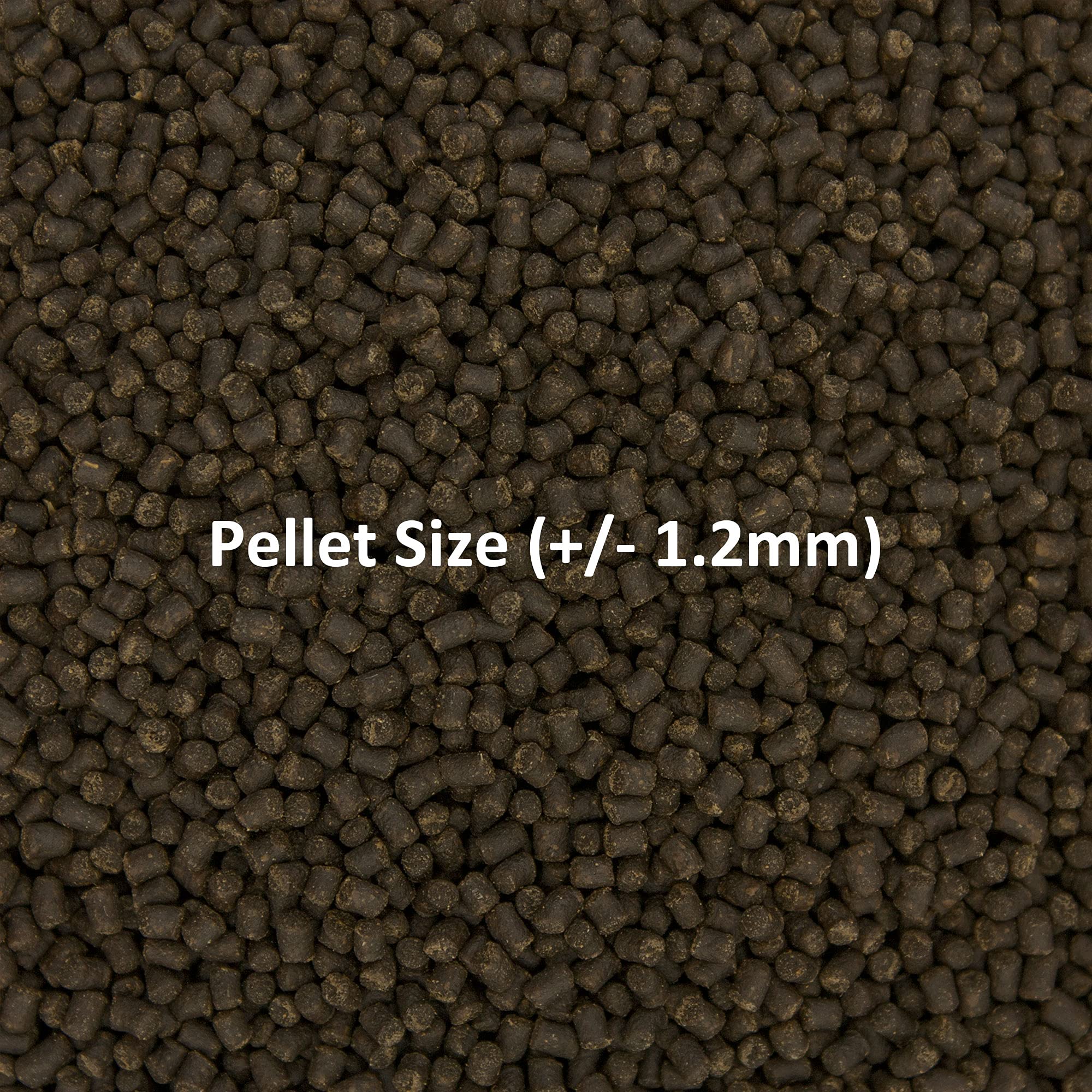 Small pellet size of Ocean Nutrition Formula Two Pellets for tiny to mid-size fish