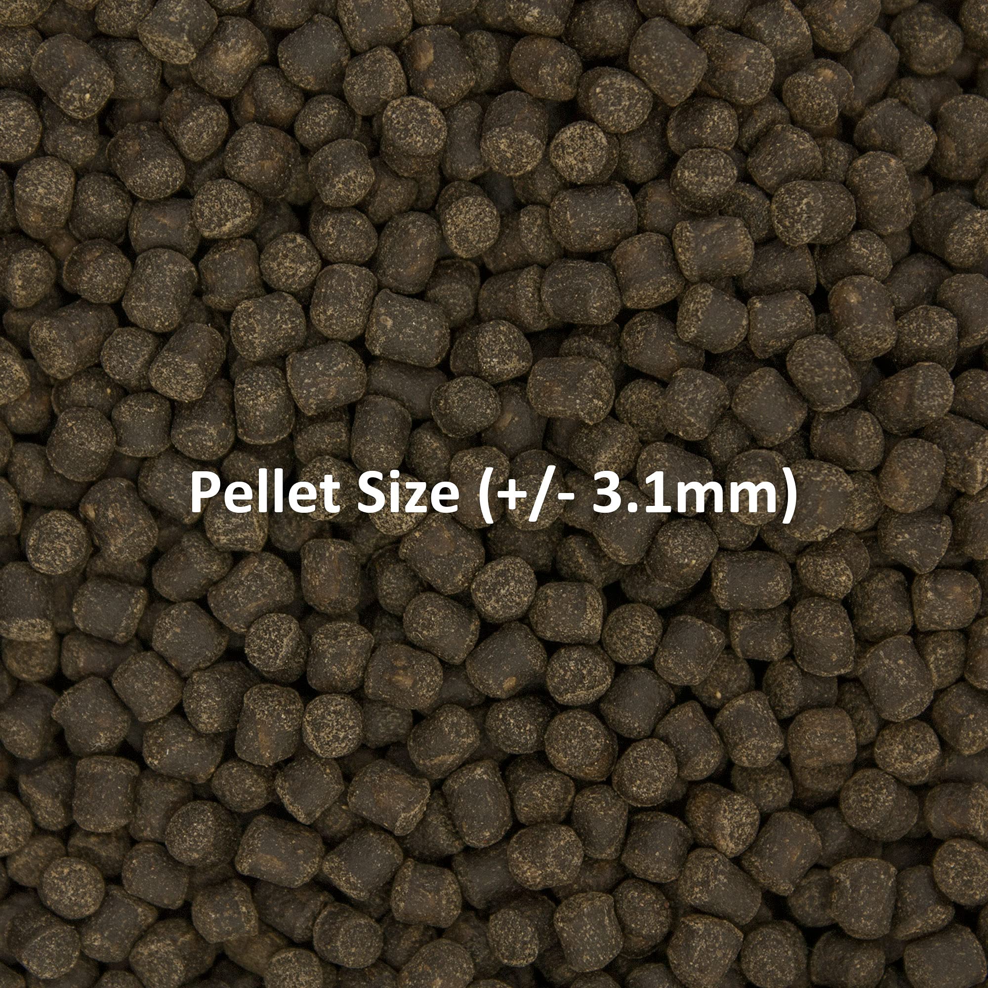 Clear water in aquarium with Formula Two pellets indicating non-clouding formula.