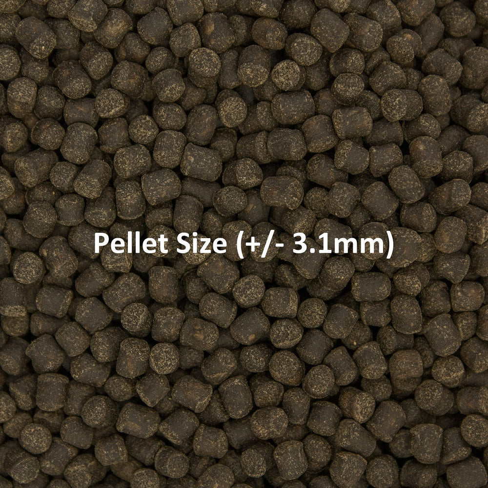 Clear water in aquarium with Formula Two pellets indicating non-clouding formula.