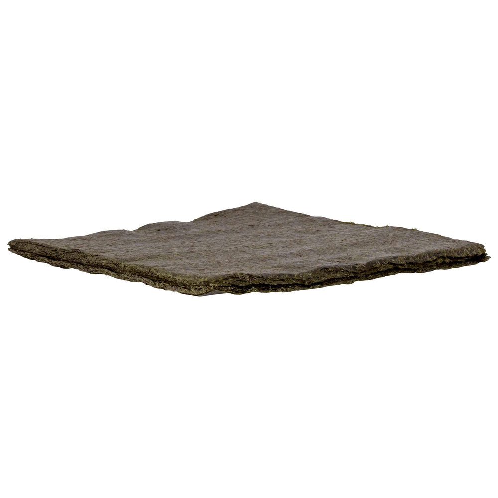 Freshwater herbivores benefit from Seaweed Select sheets in aquarium.