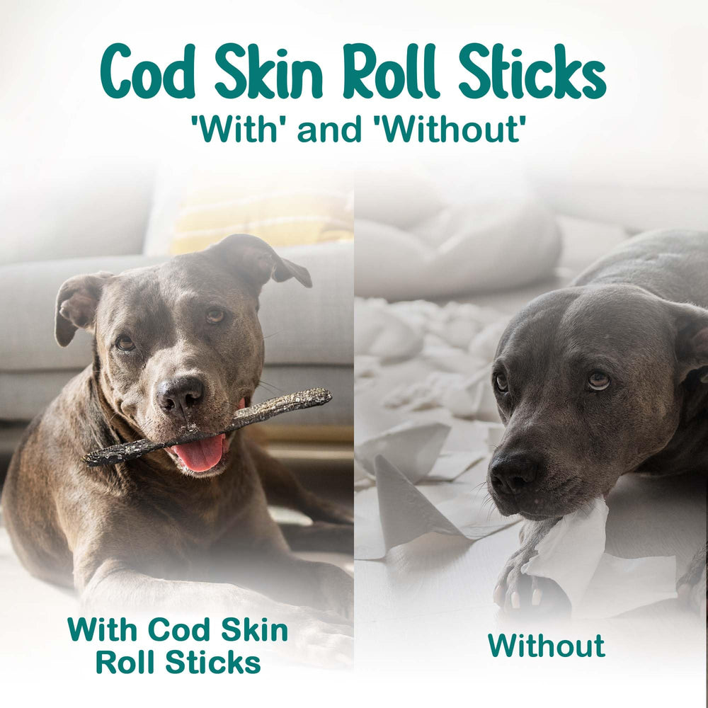 Ocean Tides dental-friendly cod skins—supports mindful chewing and oral care.