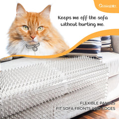 OceanPAX Scat Mat 1-inch spikes provide humane deterrence for paws.