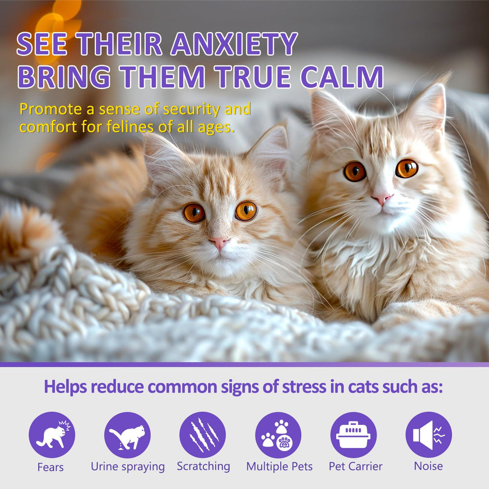 OcePor refills ready for ongoing cat stress relief and smoother days.