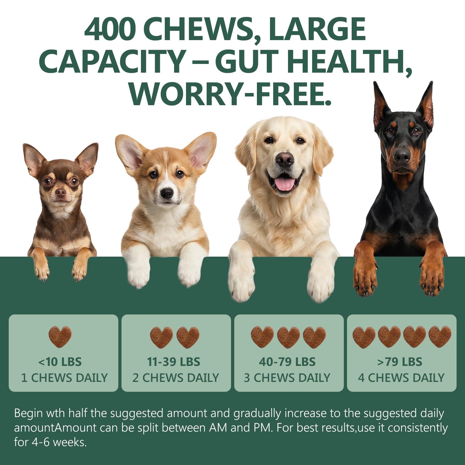OcePor chicken-flavor dog probiotics chews ideal for picky eaters.