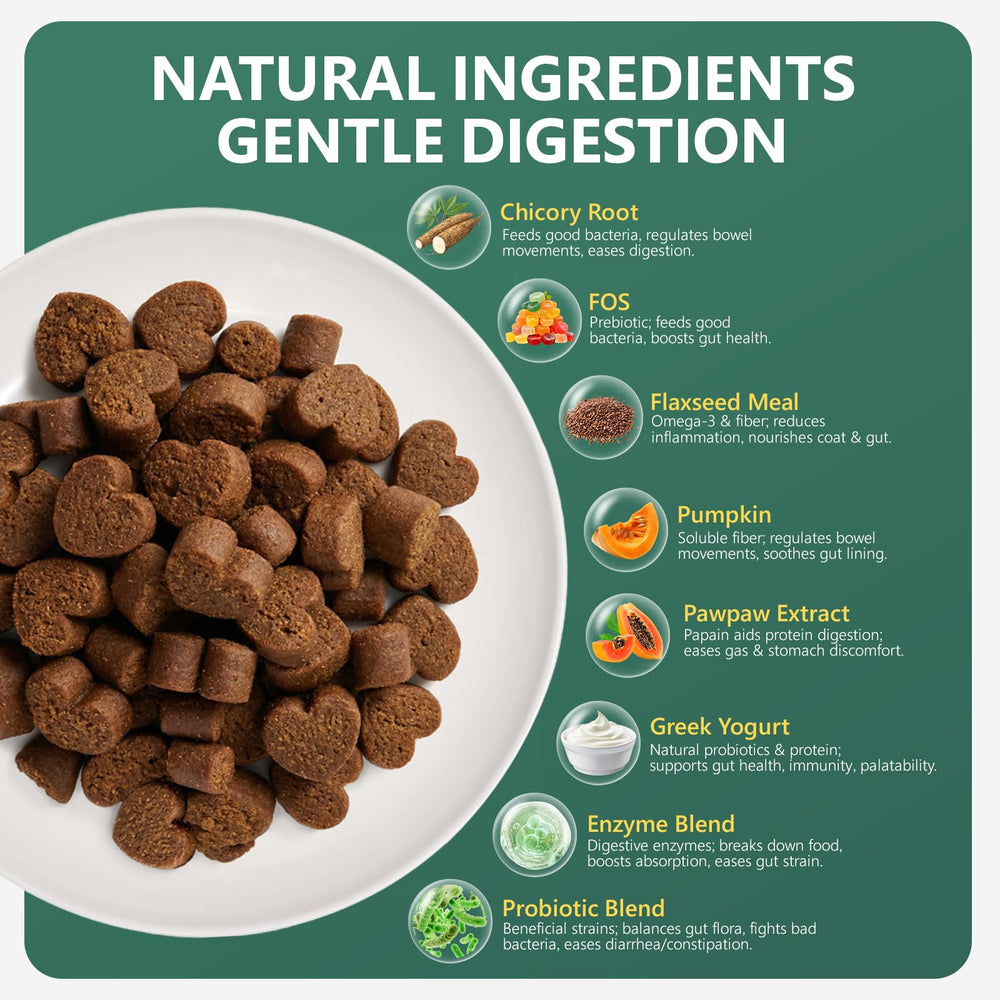 OcePor dog probiotics chews in bowl for easy daily feeding.