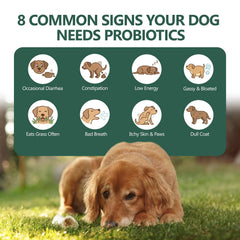 OcePor dog probiotics pack highlights convenient multi-pack option.