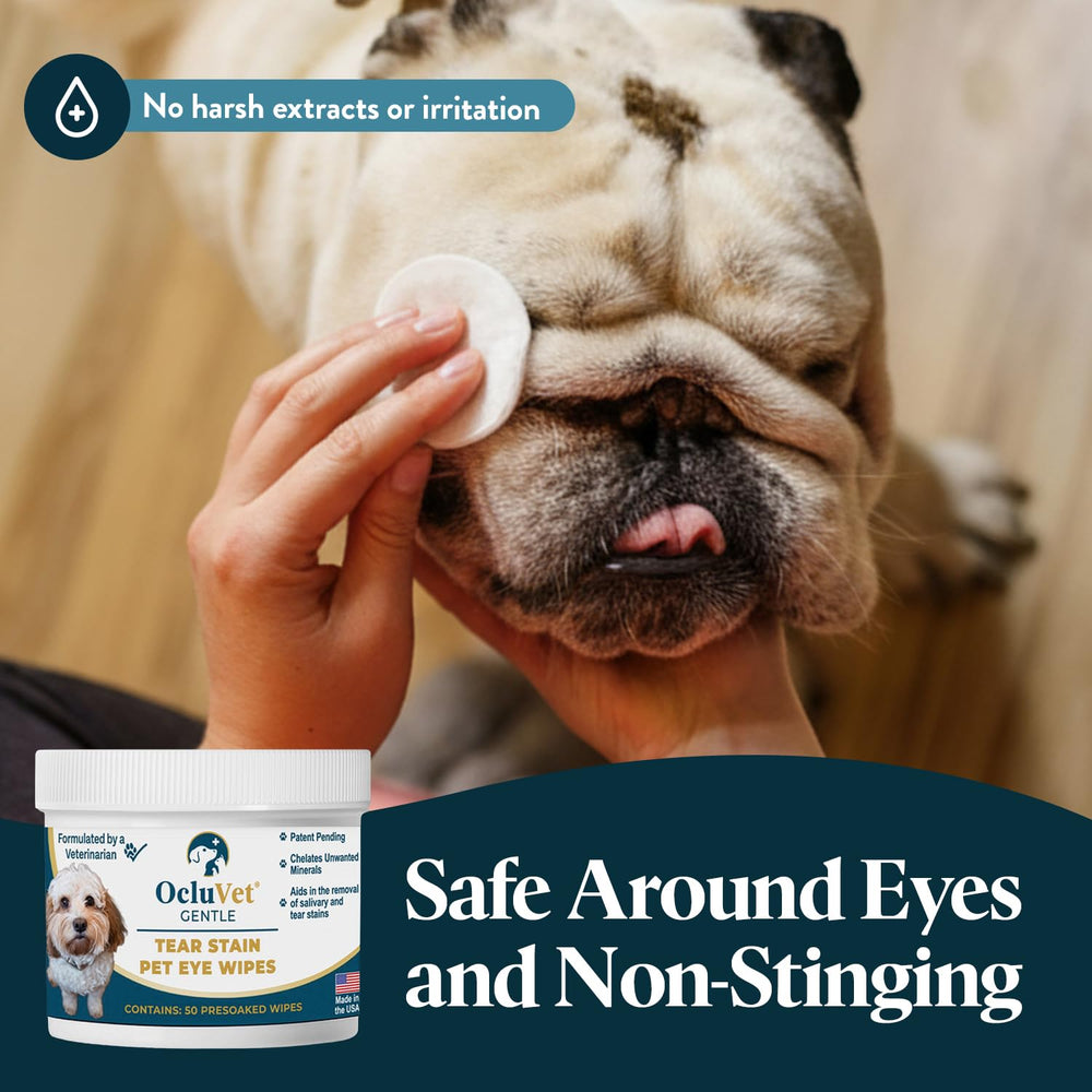 OcluVet Tear Stain Wipes applied around a dog's eye area for gentle cleaning.