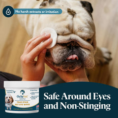 OcluVet Tear Stain Wipes applied around a dog's eye area for gentle cleaning.