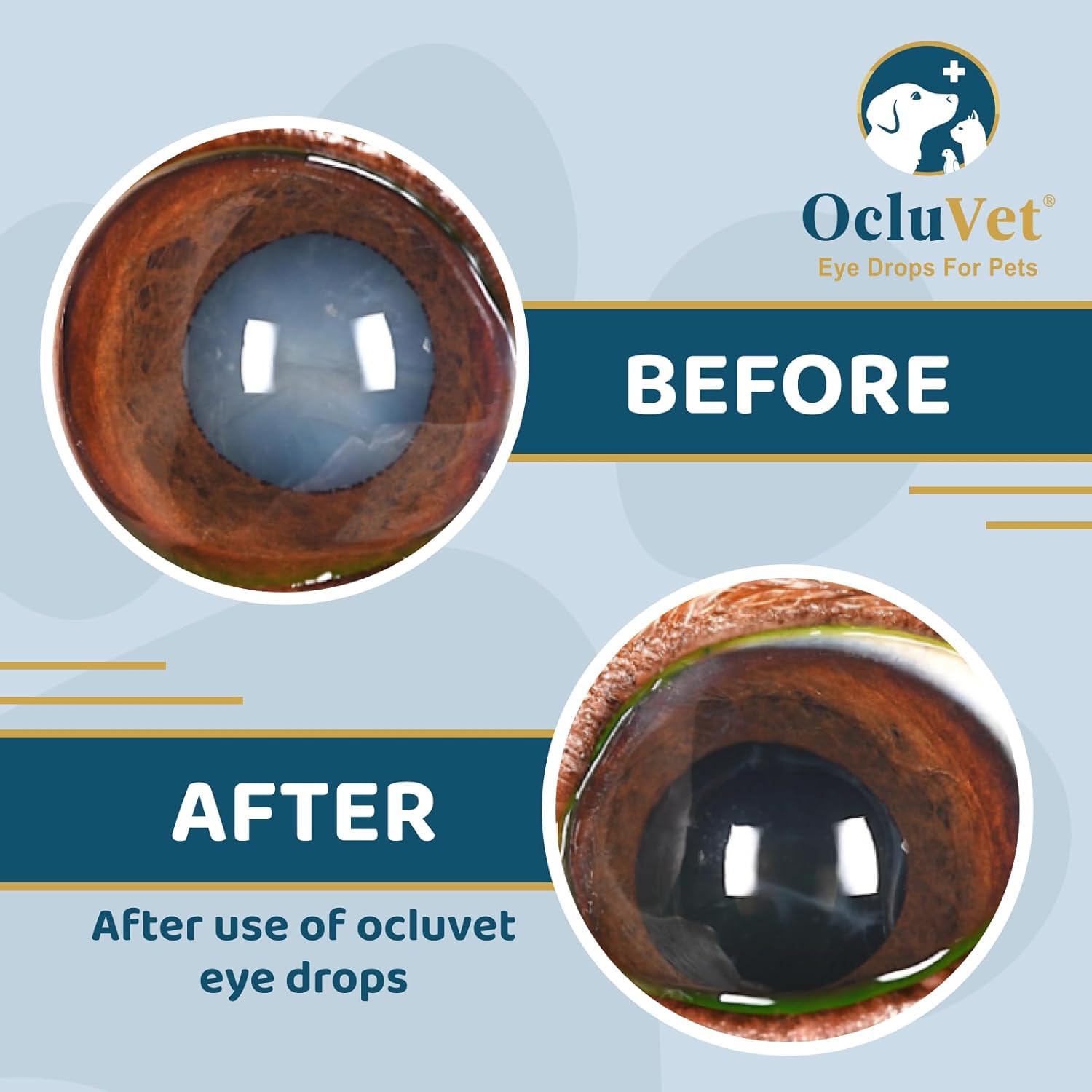 OcluVet eye drops closeup highlights natural antioxidants for eye care.