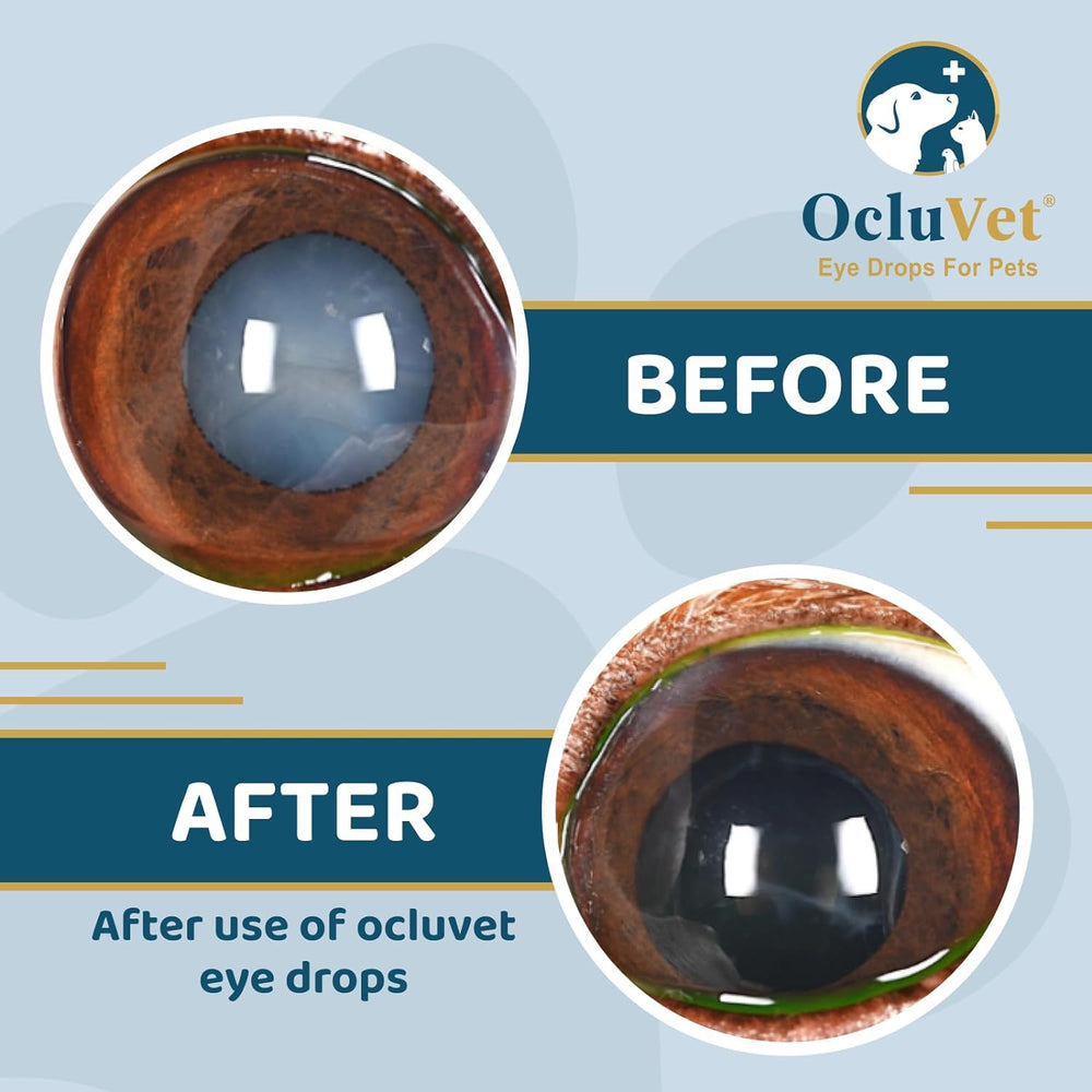 OcluVet eye drops closeup highlights natural antioxidants for eye care.
