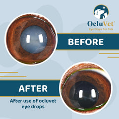 OcluVet Eye Drops packaging highlighting USA-made quality and antioxidant blend.