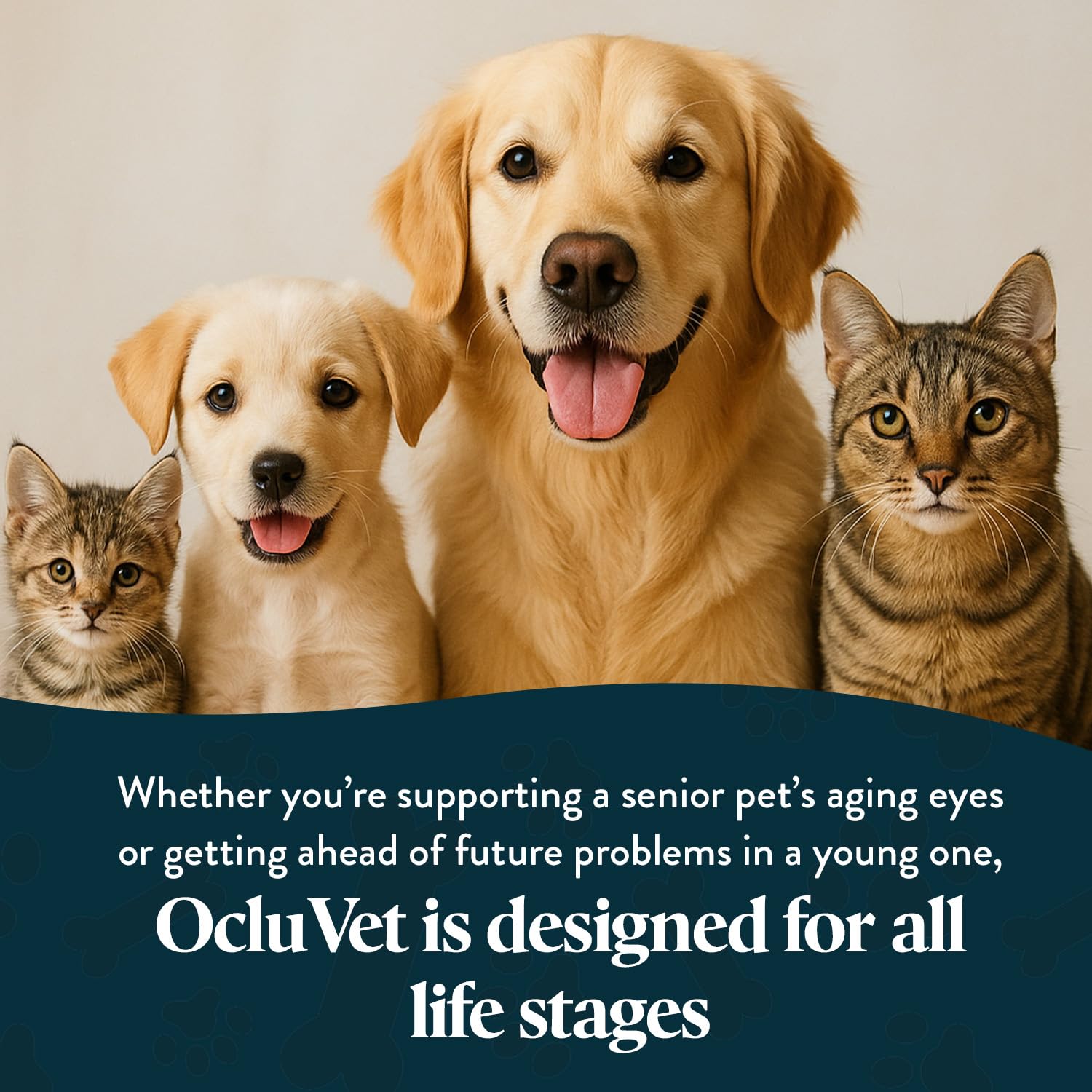 OcluVet Vision Chews ingredients spotlight featuring marine sources and antioxidants.