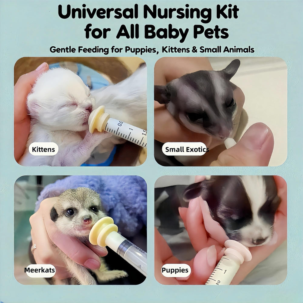 OCTKITE BPA-free materials ensure safe, odorless feeding for small pets.
