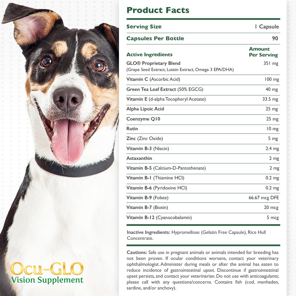Ocu-GLO PB Vision powder scoop showing simple measurement for meals.