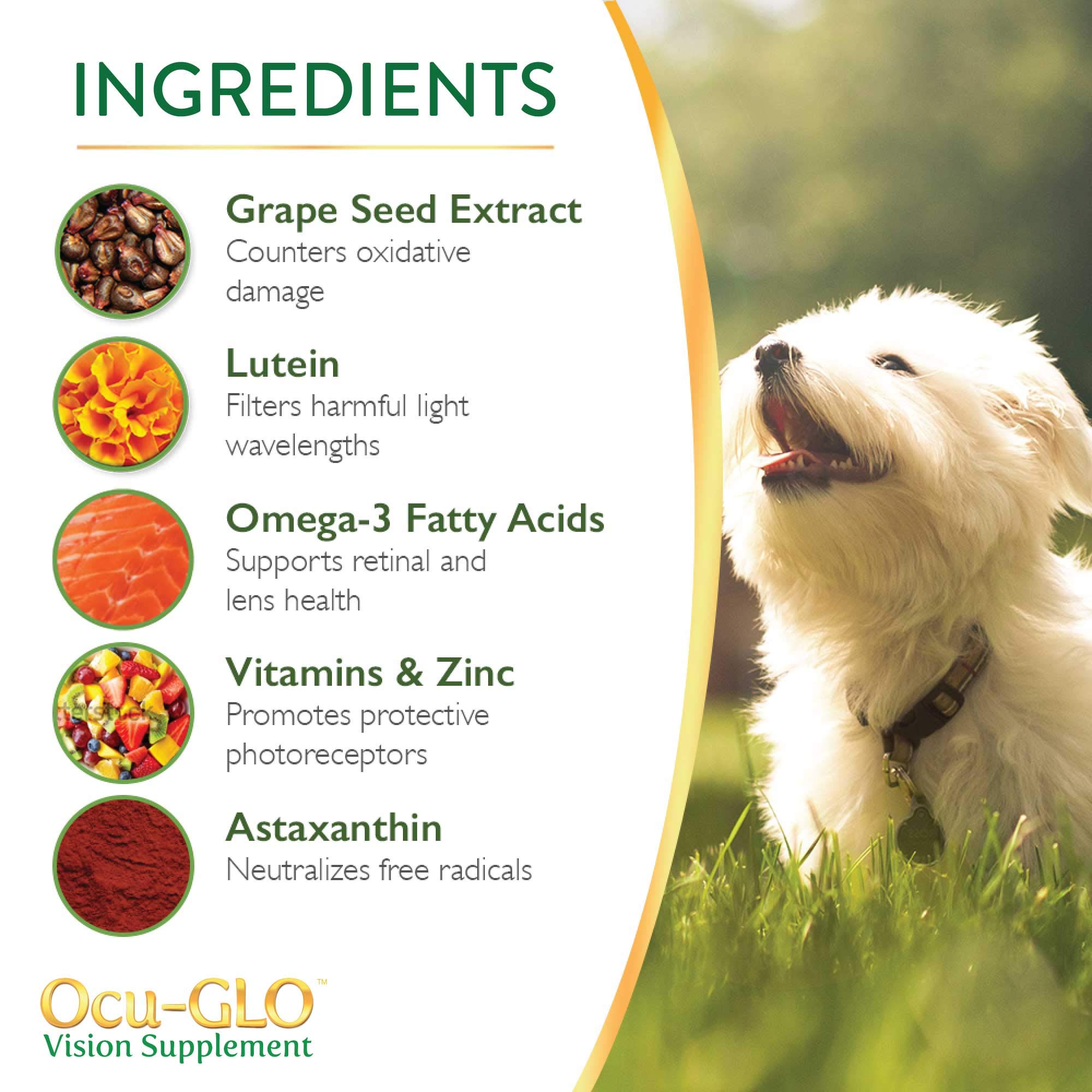 Ocu-GLO PB Vision powder being sprinkled into dog food for easy meal mixing.