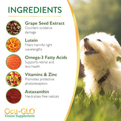 Ocu-GLO PB powder being sprinkled onto a pet's meal for simple dosing