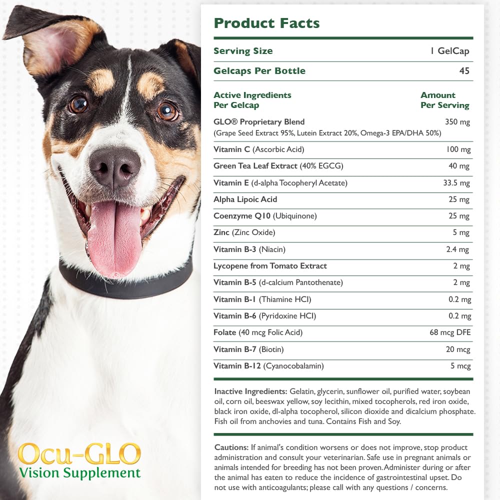 Ocu-GLO Vision shown being added to wet food for easy administration.