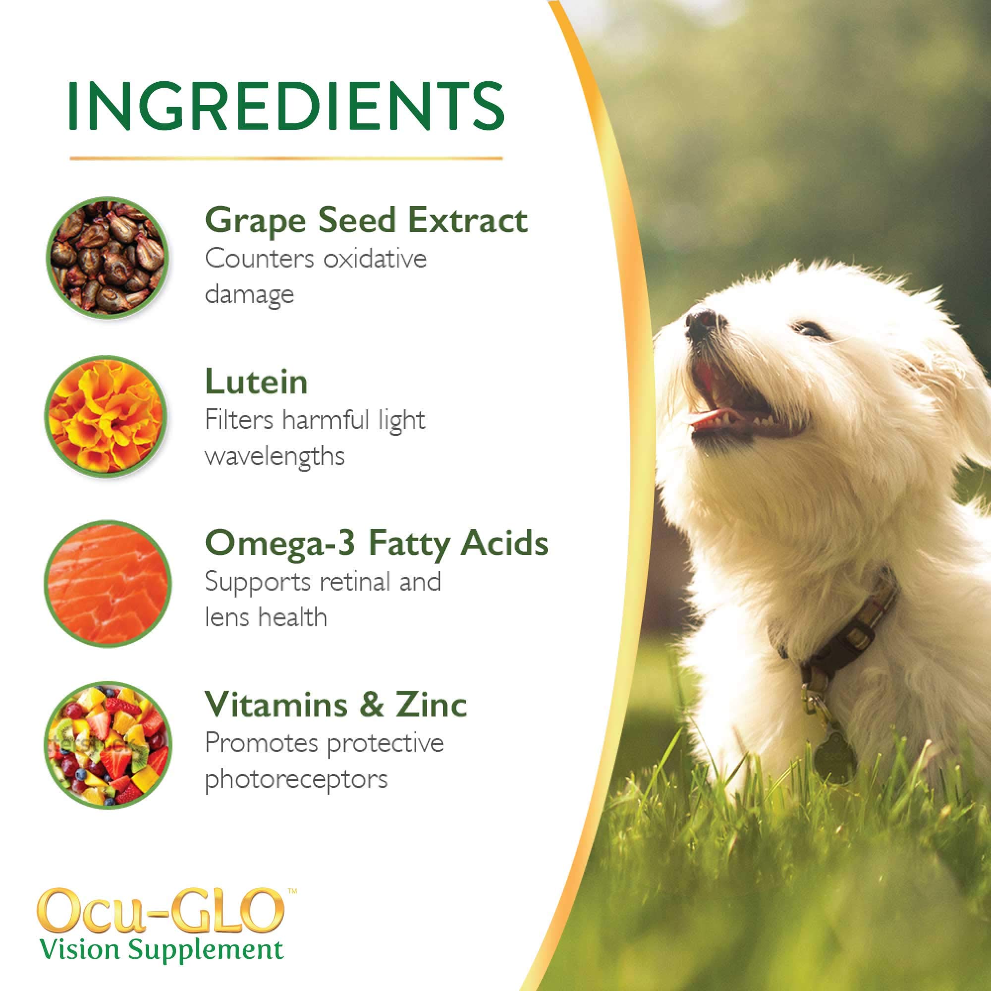 Ocu-GLO Vision packaging emphasizes vet recommendation and quality ingredients.