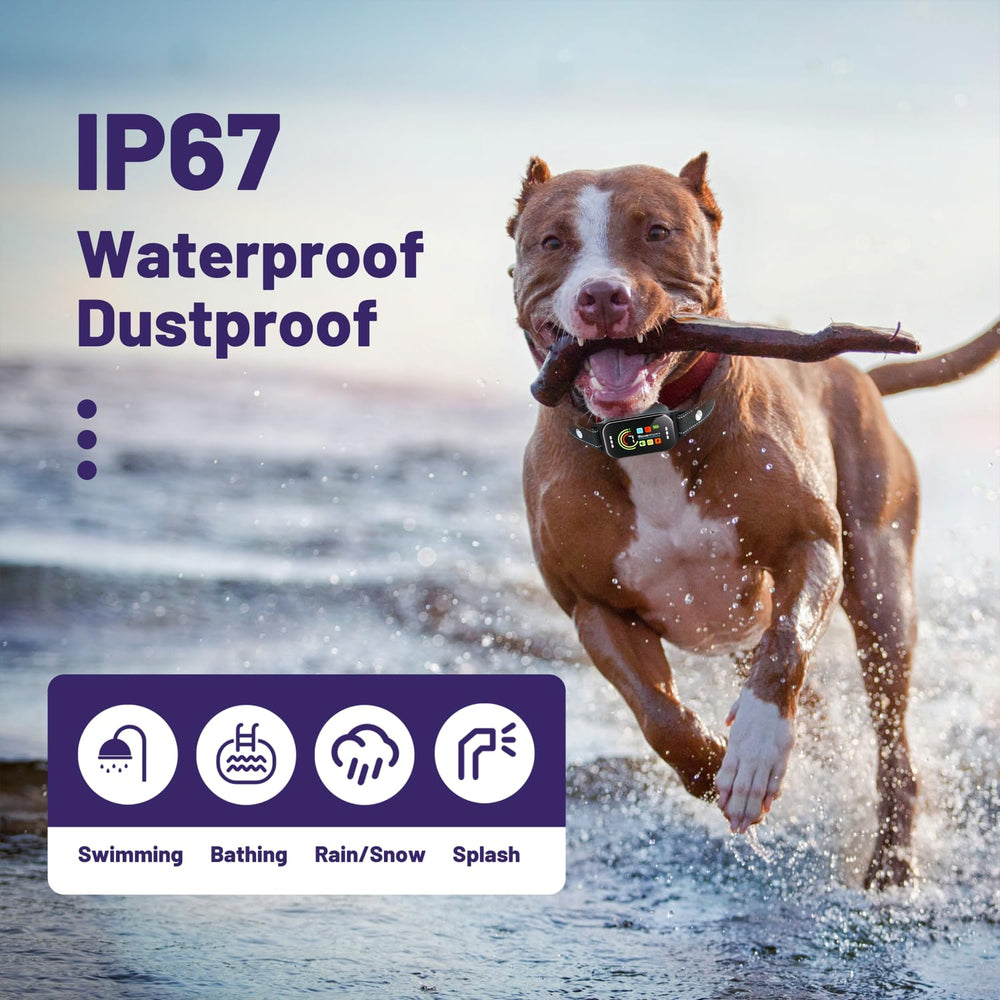 ODIFRBI IP67-rated bark collar showing water and dust resistance in test
