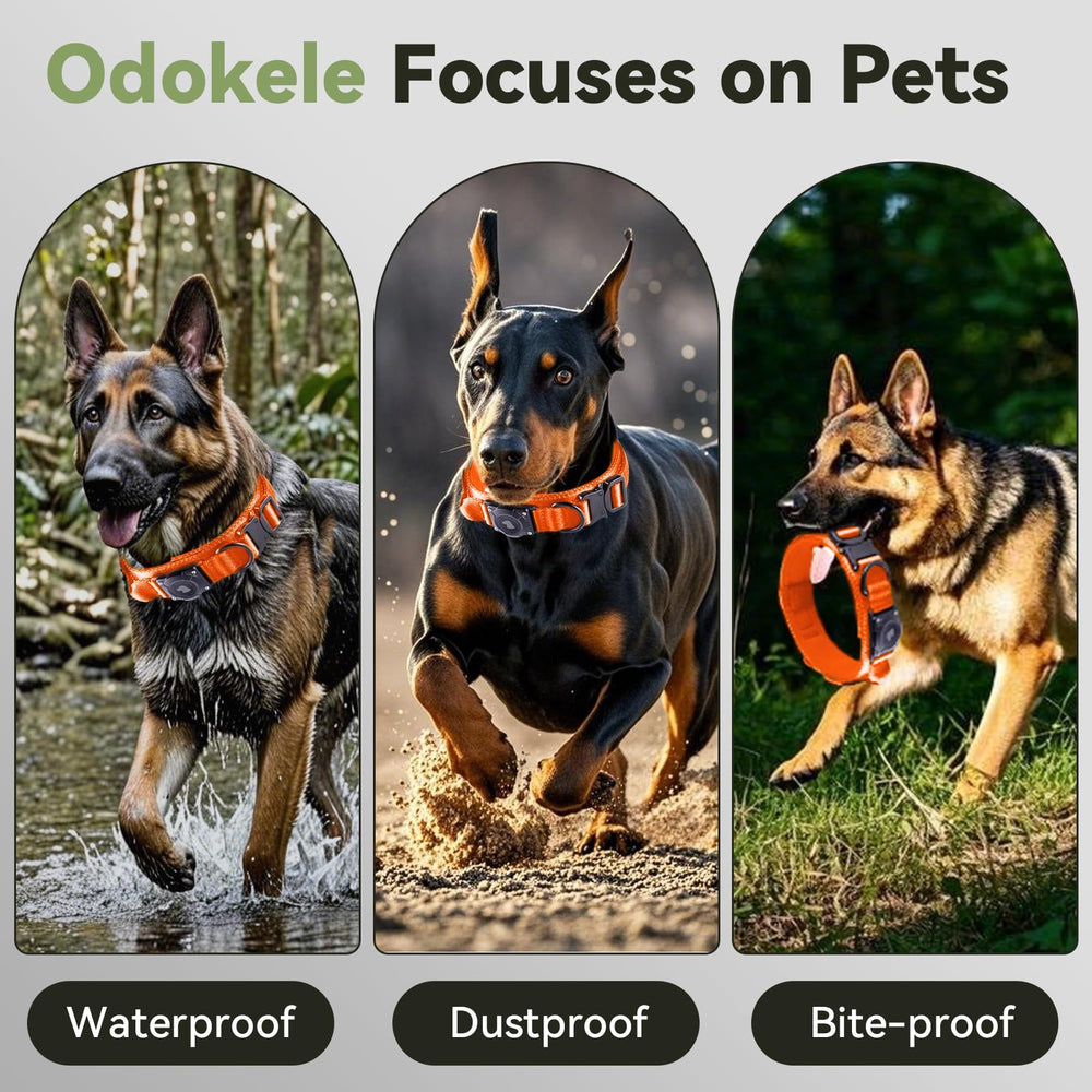 Odokele 1000D nylon tactical collar combines durability with soft lining.