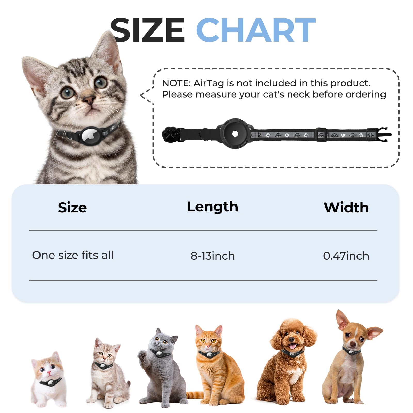 Odokele Collar on a kitten demonstrates adjustable fit for small pets.