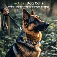 Odokele AirTag holder on a rugged military-style dog collar for secure adventures