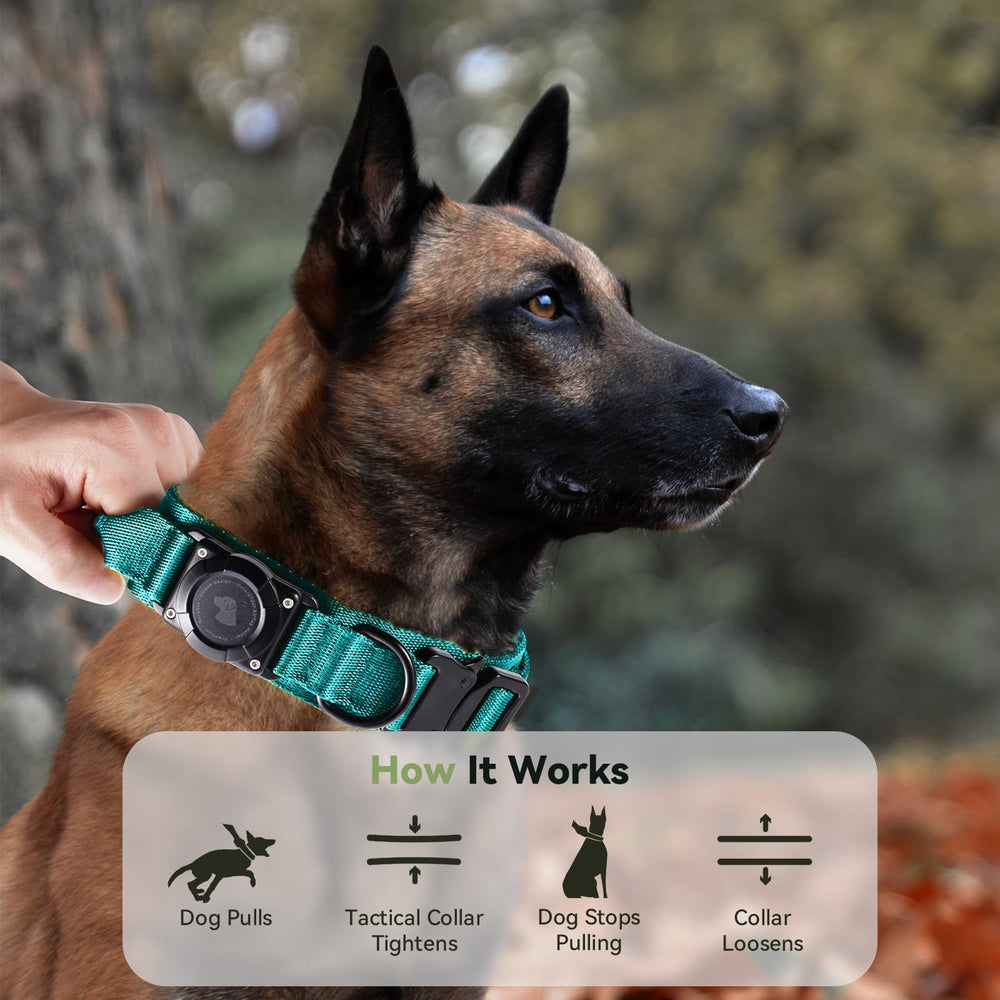 Odokele blue upgrade collar ready for adventures and daily walks