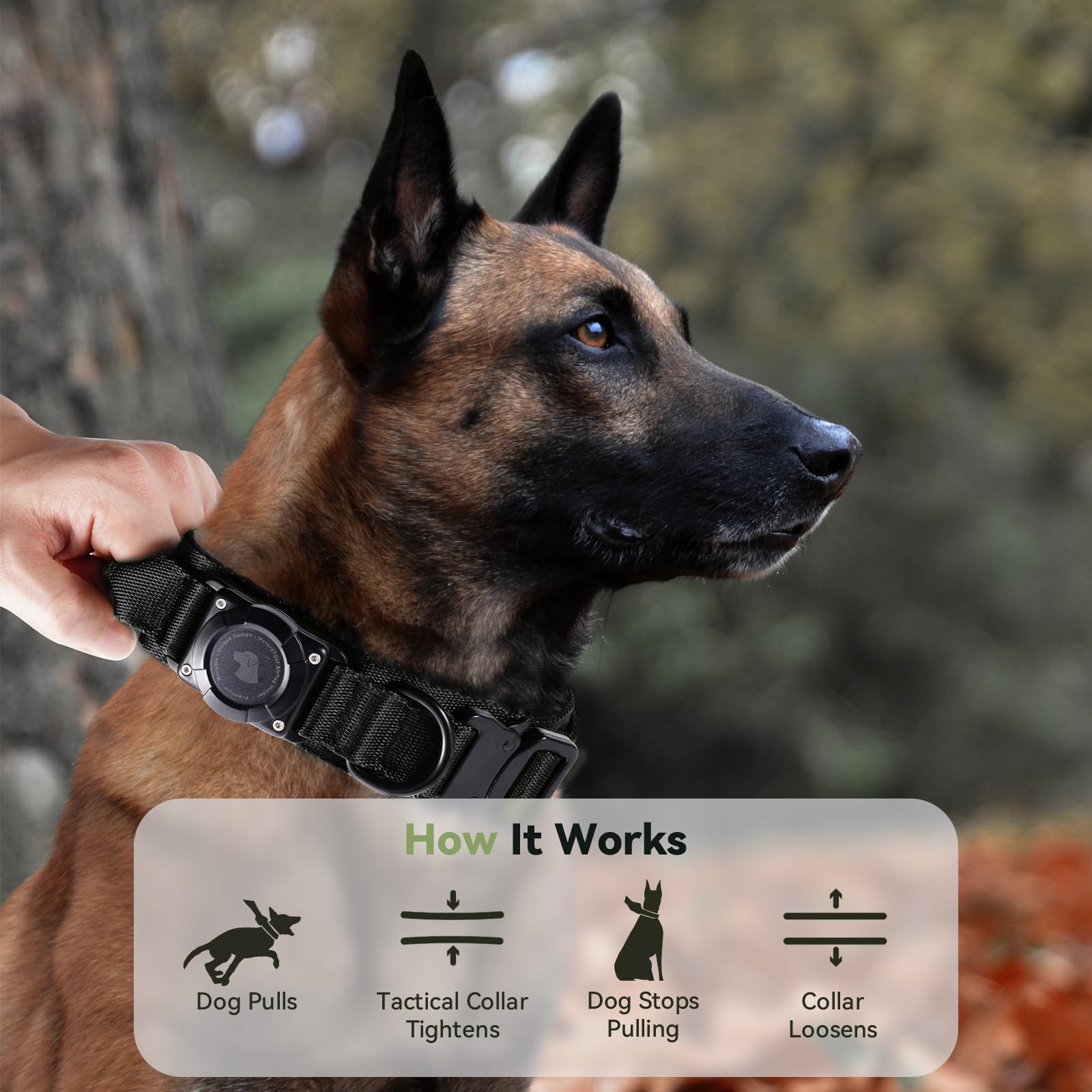 Odokele collar available in M to XL with neck measurement guide