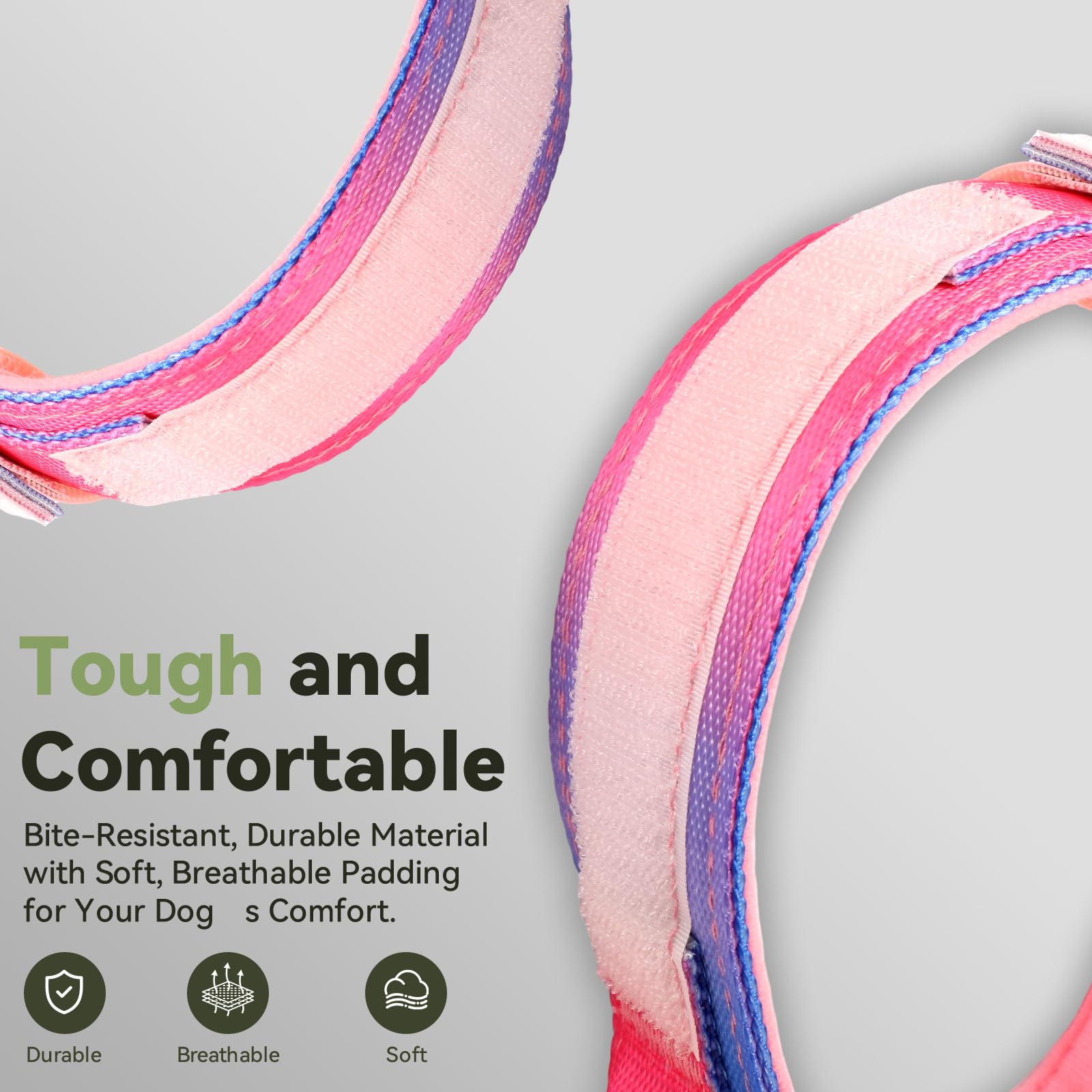 Odokele comfortable control handle aids safe handling during walks