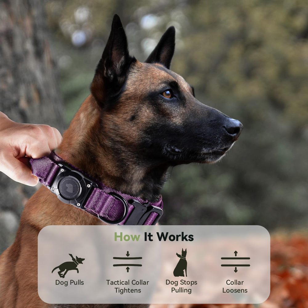Odokele XL collar size for medium to large dogs