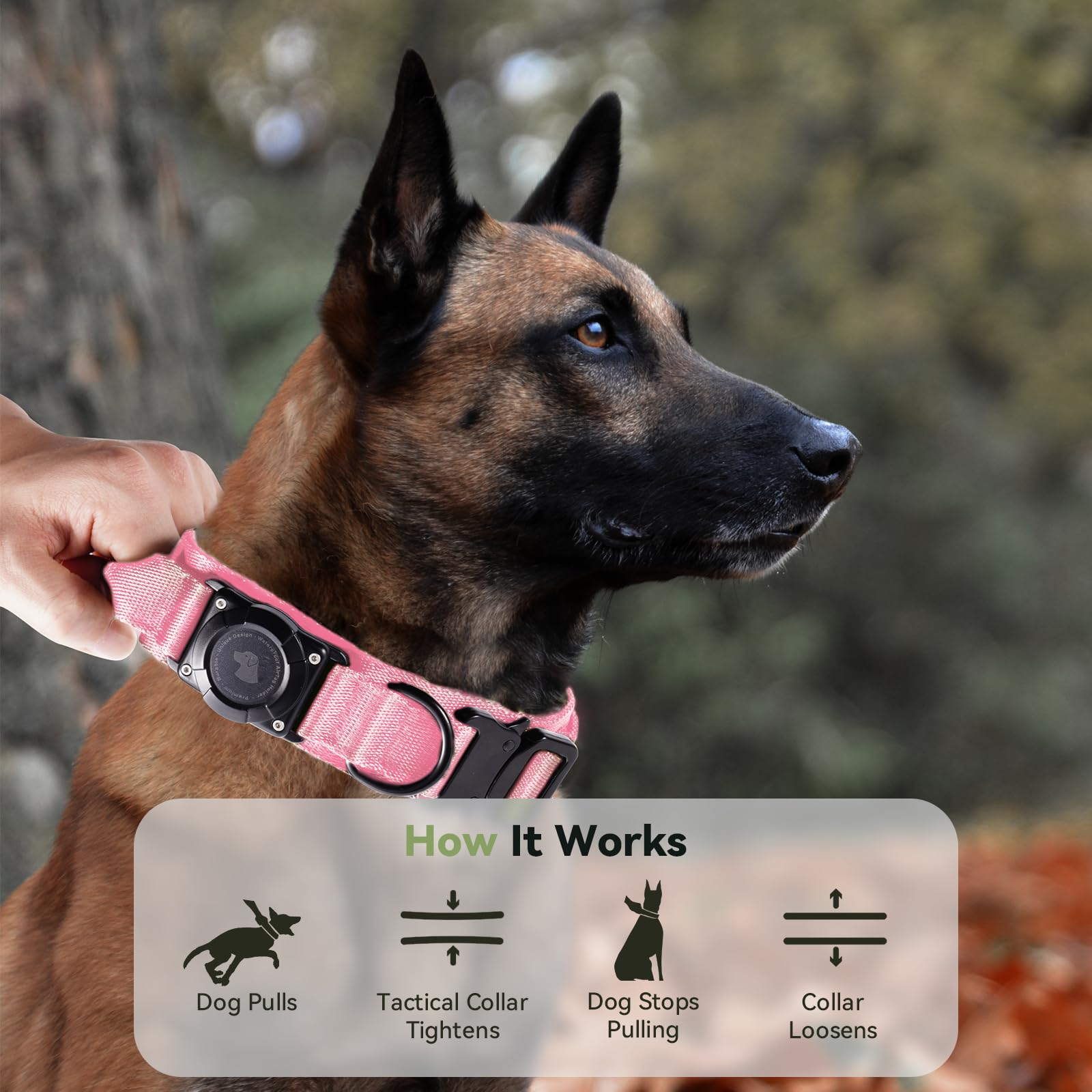 Odokele durable 1000D nylon collar designed for long-term daily use