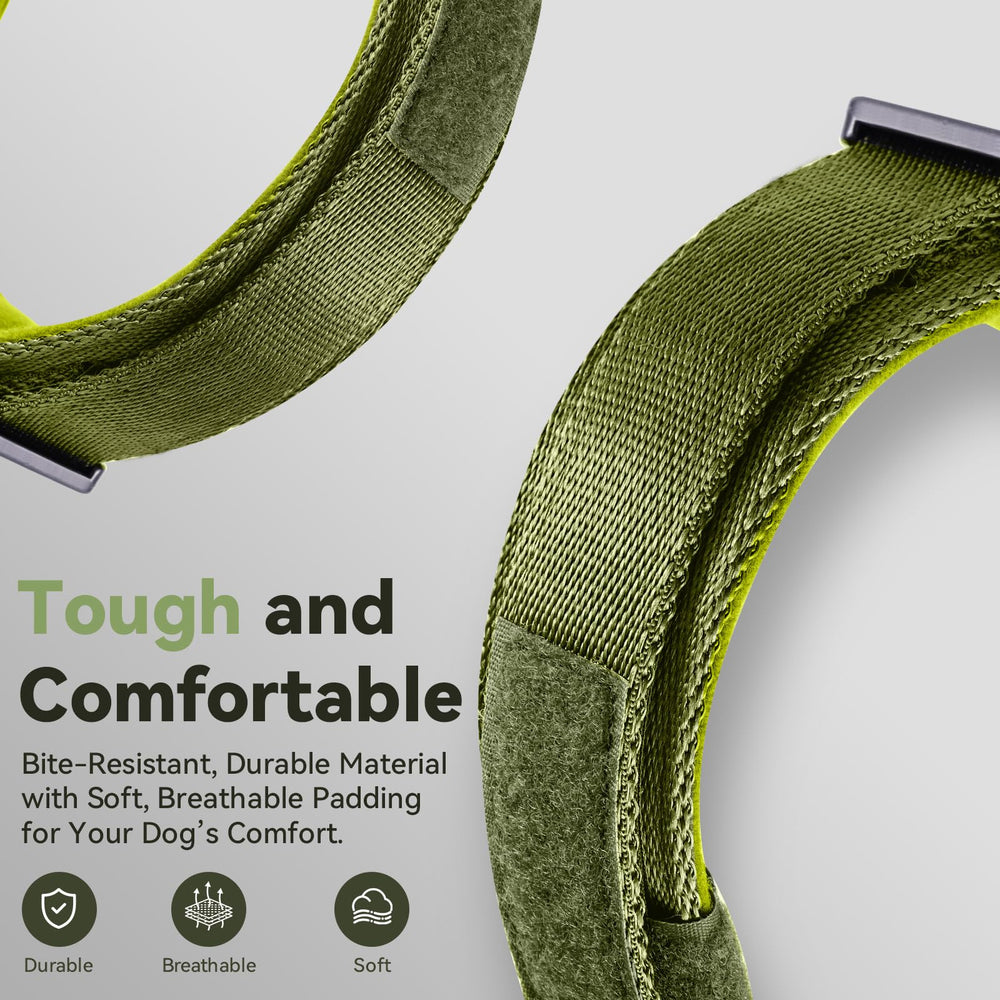 Odokele heavy-duty metal buckle on rugged dog collar designed for strong dogs